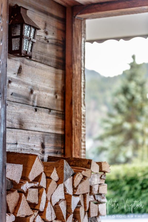 Chalet Camomille Les Gets Buitenkant foto