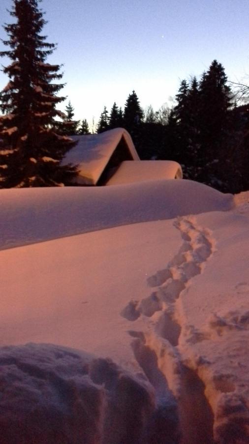 Chalet Camomille Les Gets Buitenkant foto